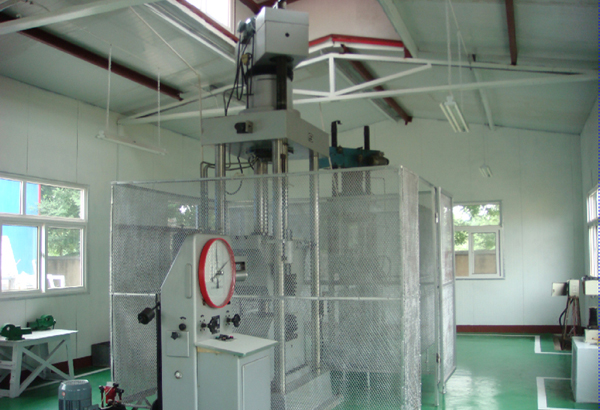 �O(sh��)��չʾ